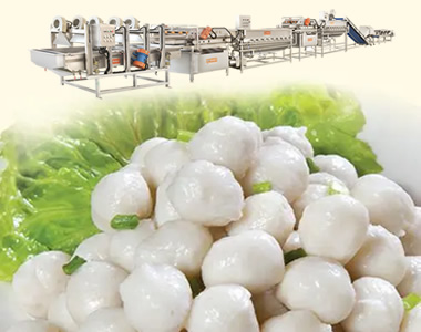 魚丸技術(shù)解決方案